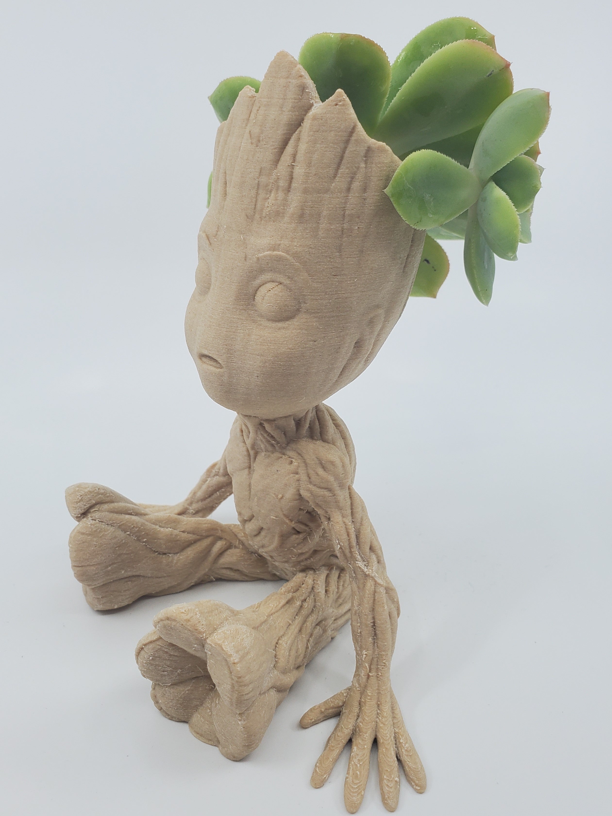 Baby Groot Air Plant Holder/Planter