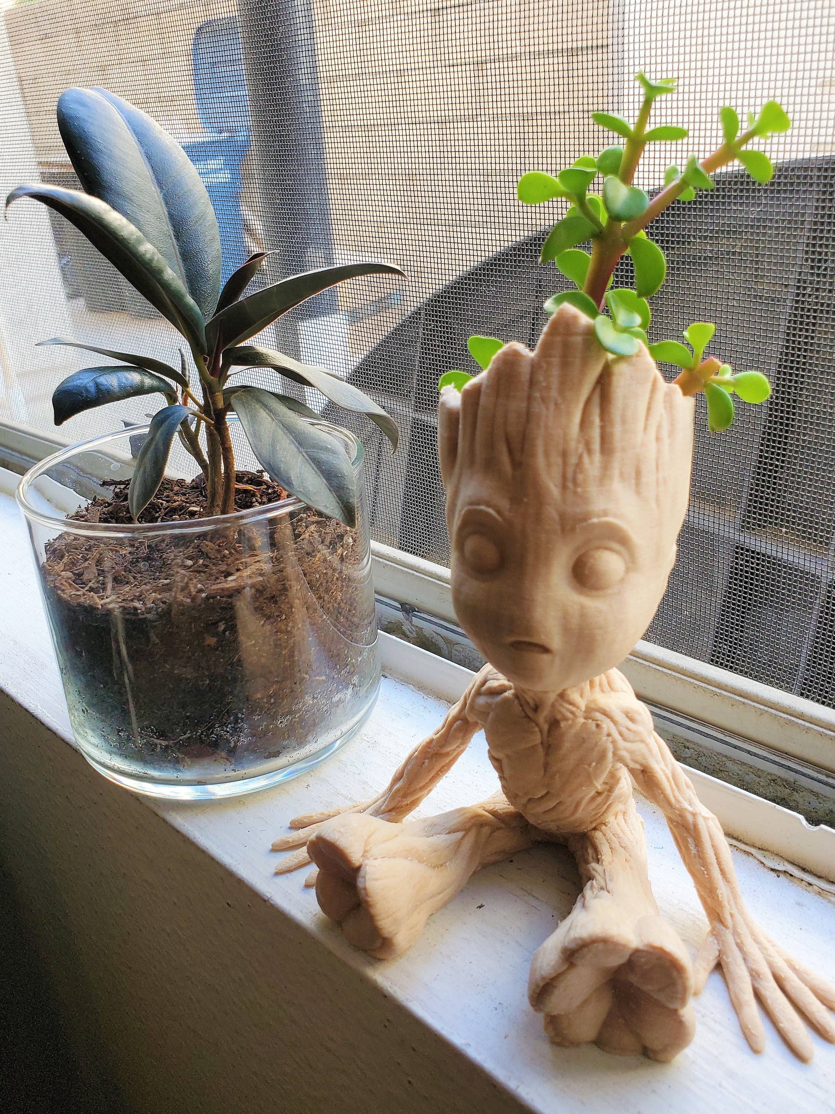 Baby Groot Air Plant Holder/Planter