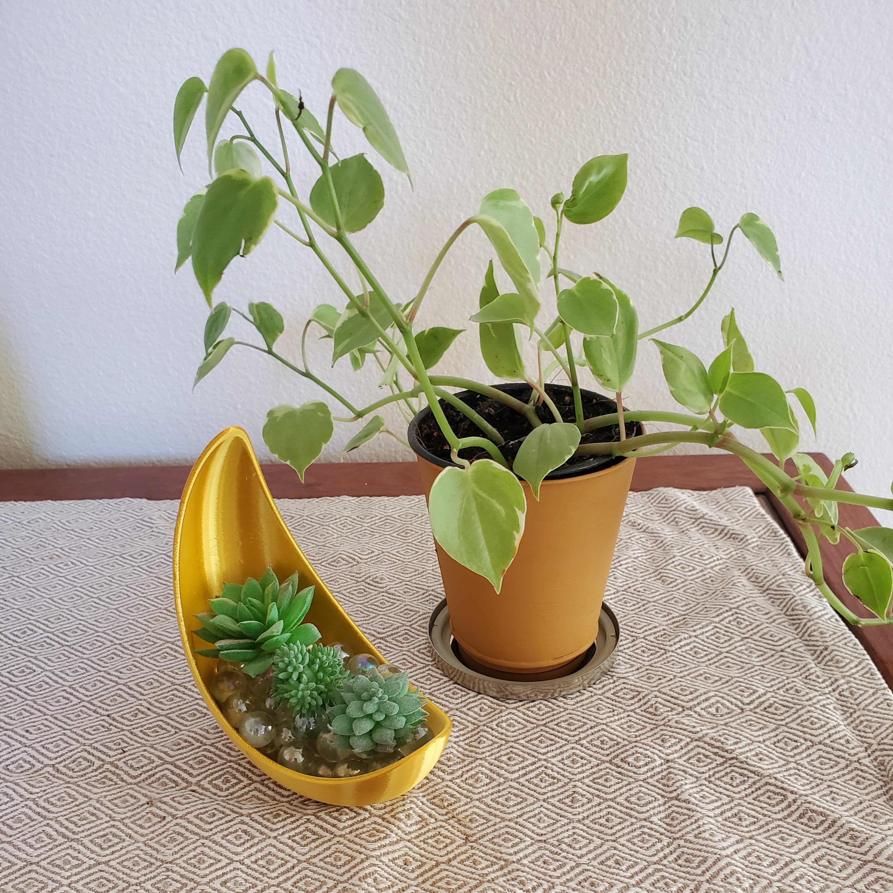 Crescent Moon Planter