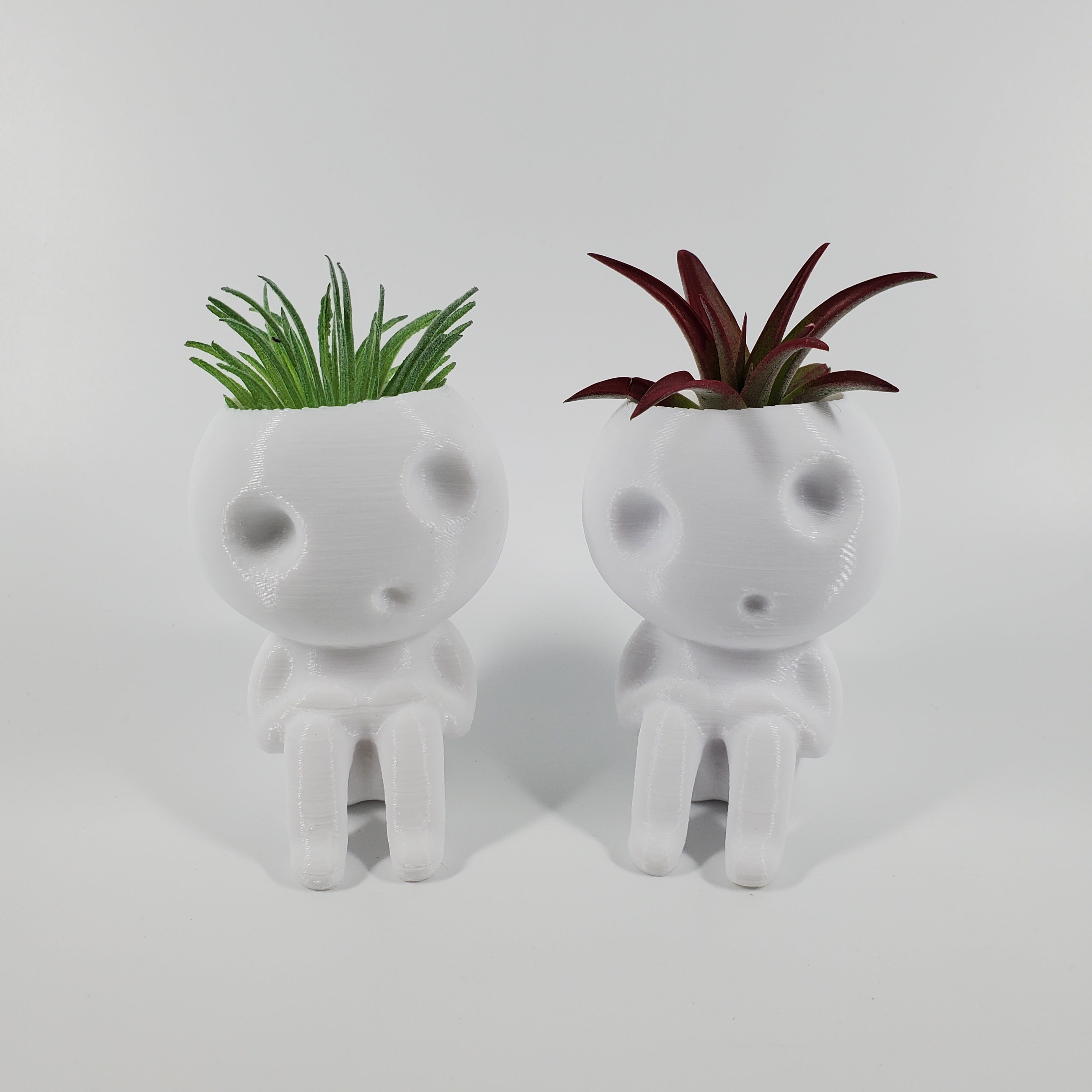 Kodama Planter - Keera