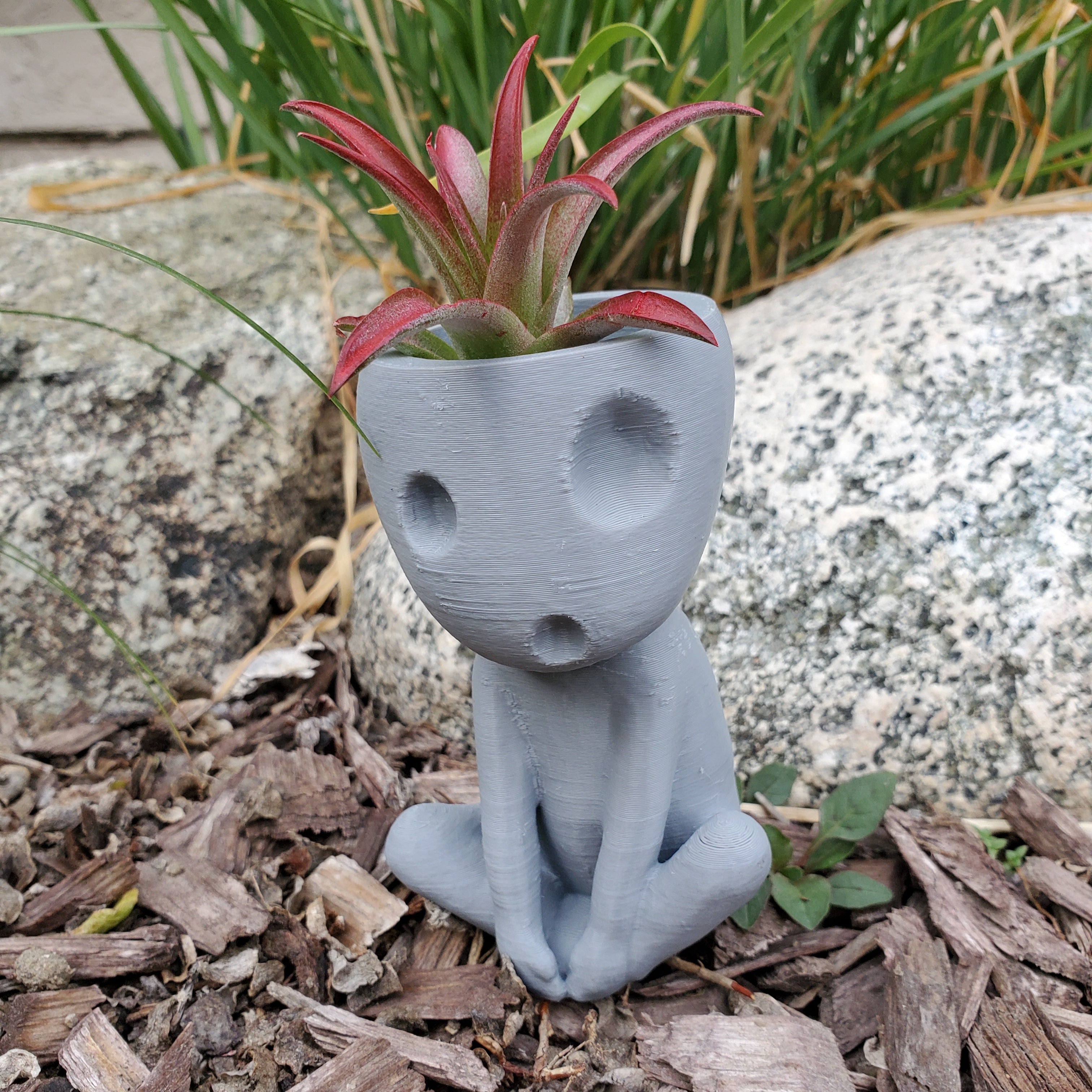 Kodama Planter-Kooki