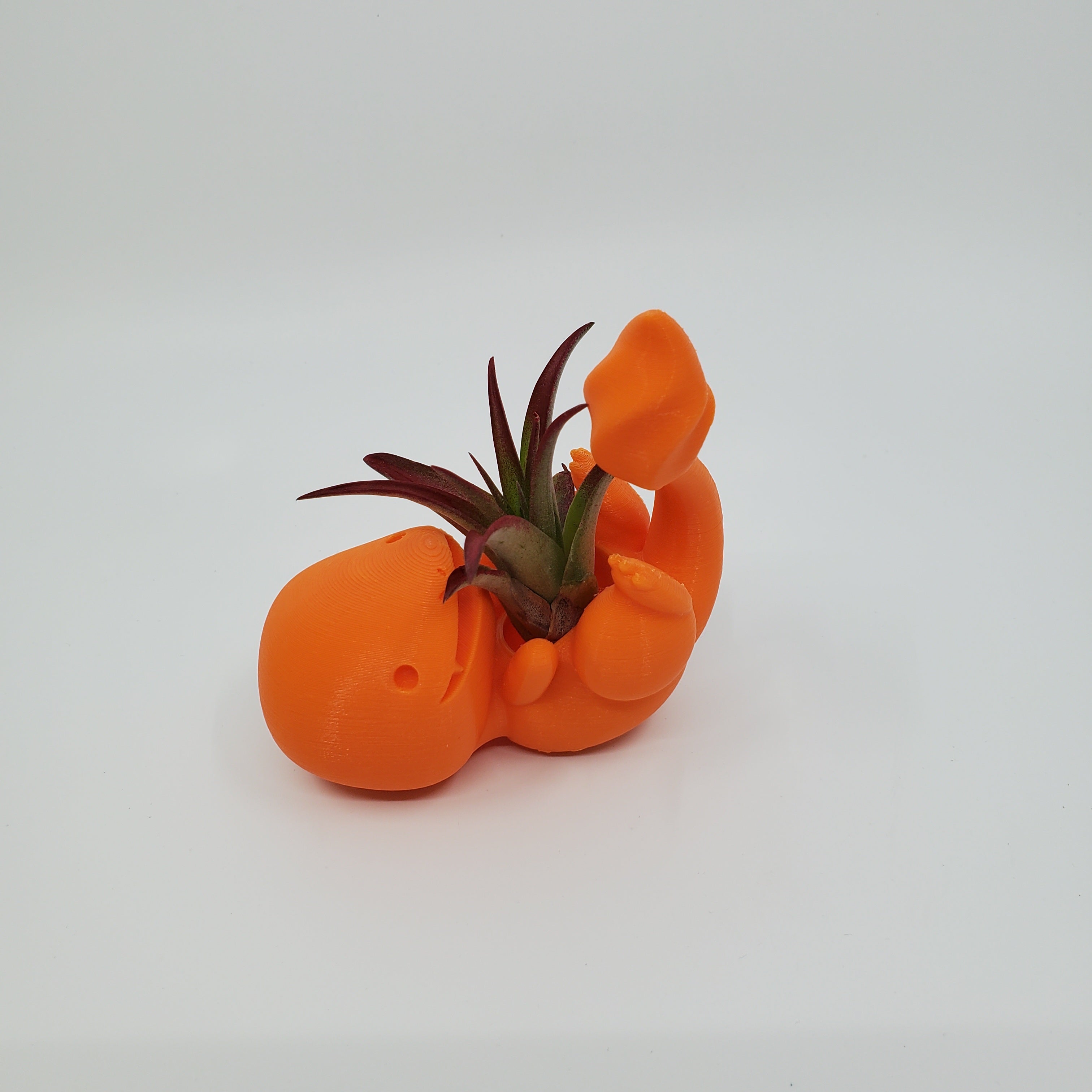 Mini Pokémon Air Plant Holder