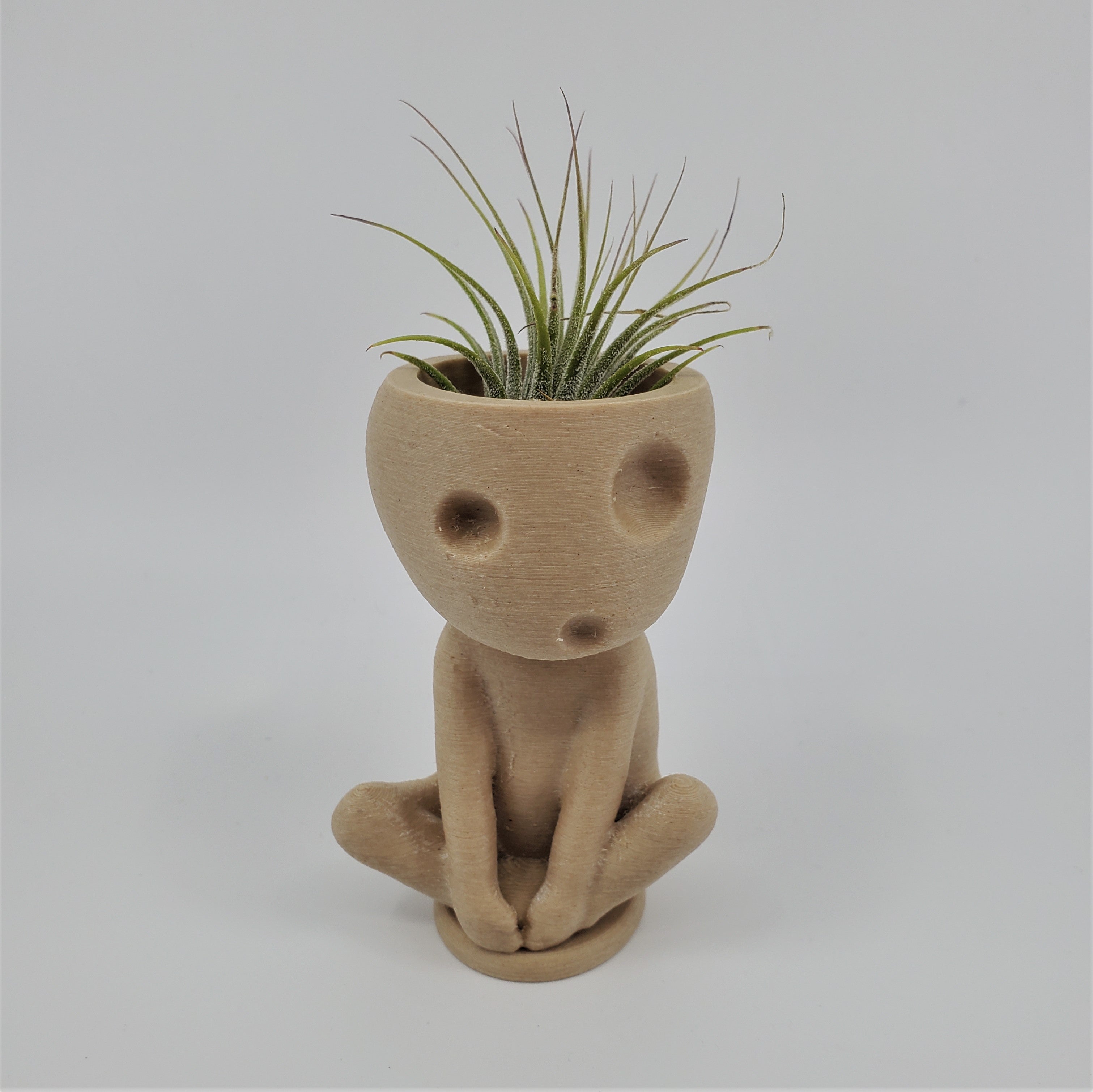 Kodama Planter-Kooki