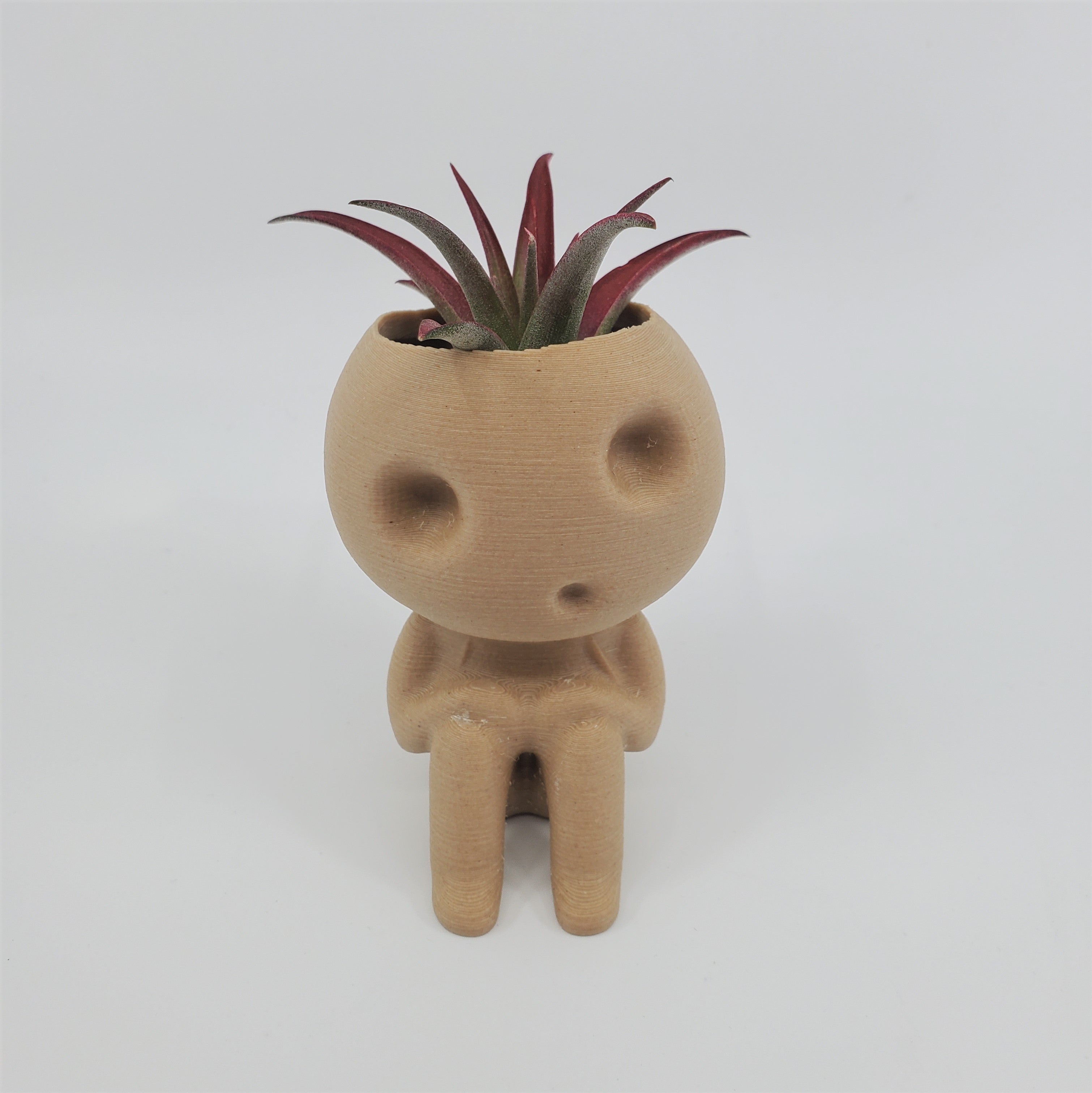 Kodama Planter - Keera