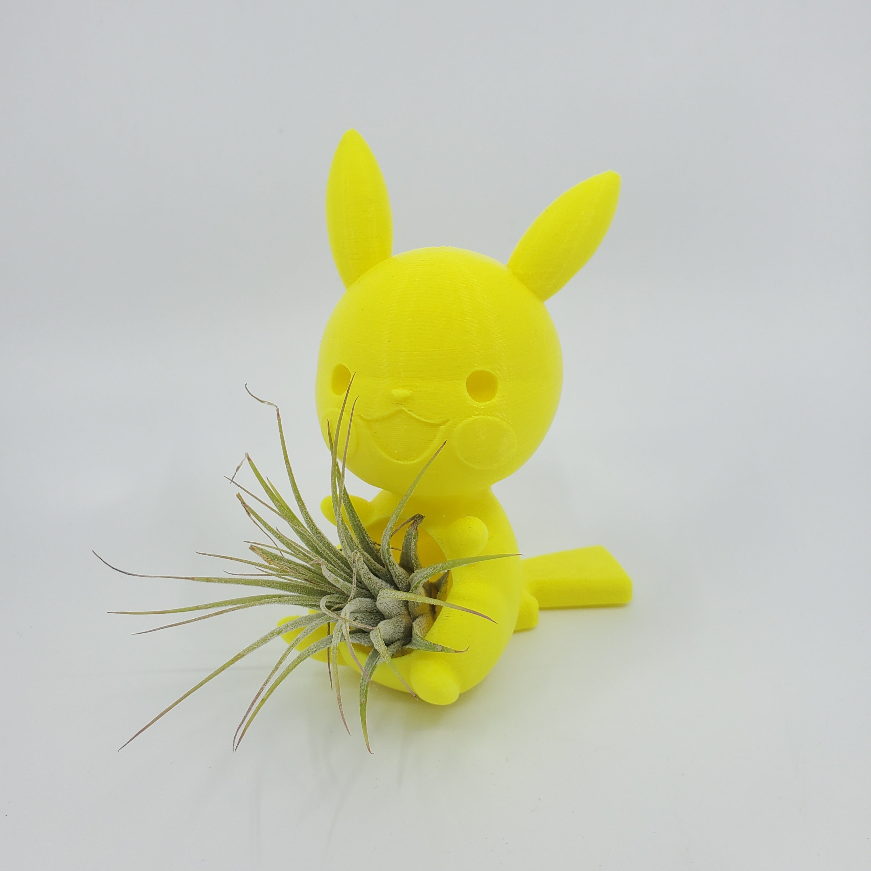 Mini Pokémon Air Plant Holder