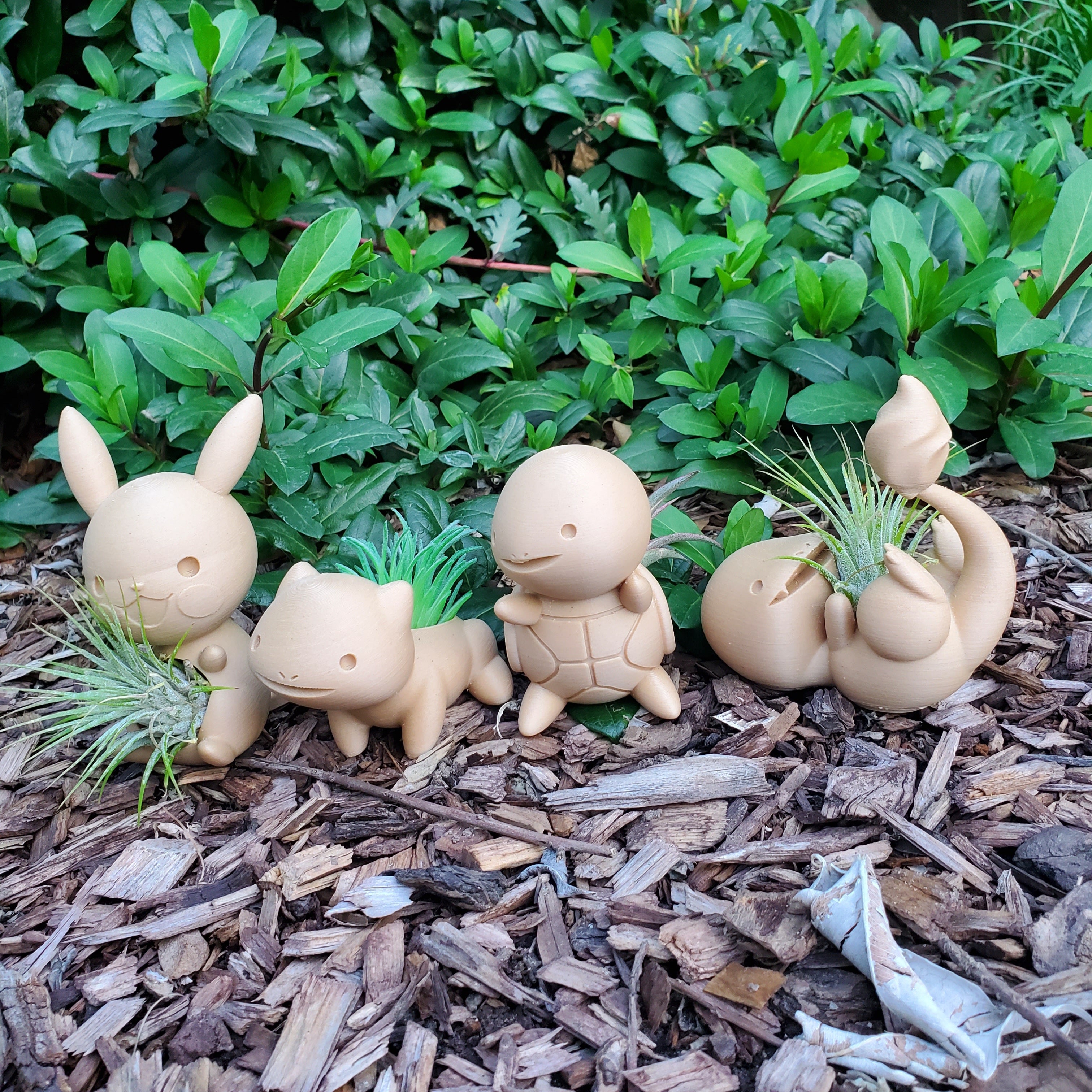 Mini Pokémon Air Plant Holder